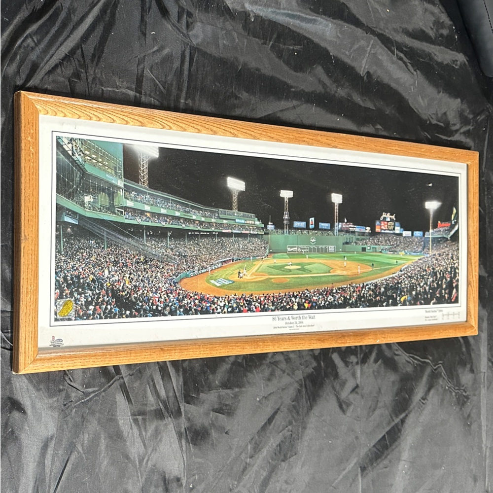 Framed Baseball Stadium Panoramic Photo